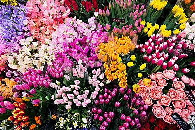 《Apex英雄》先兆收集活动预告 暴雷传家宝即将上线